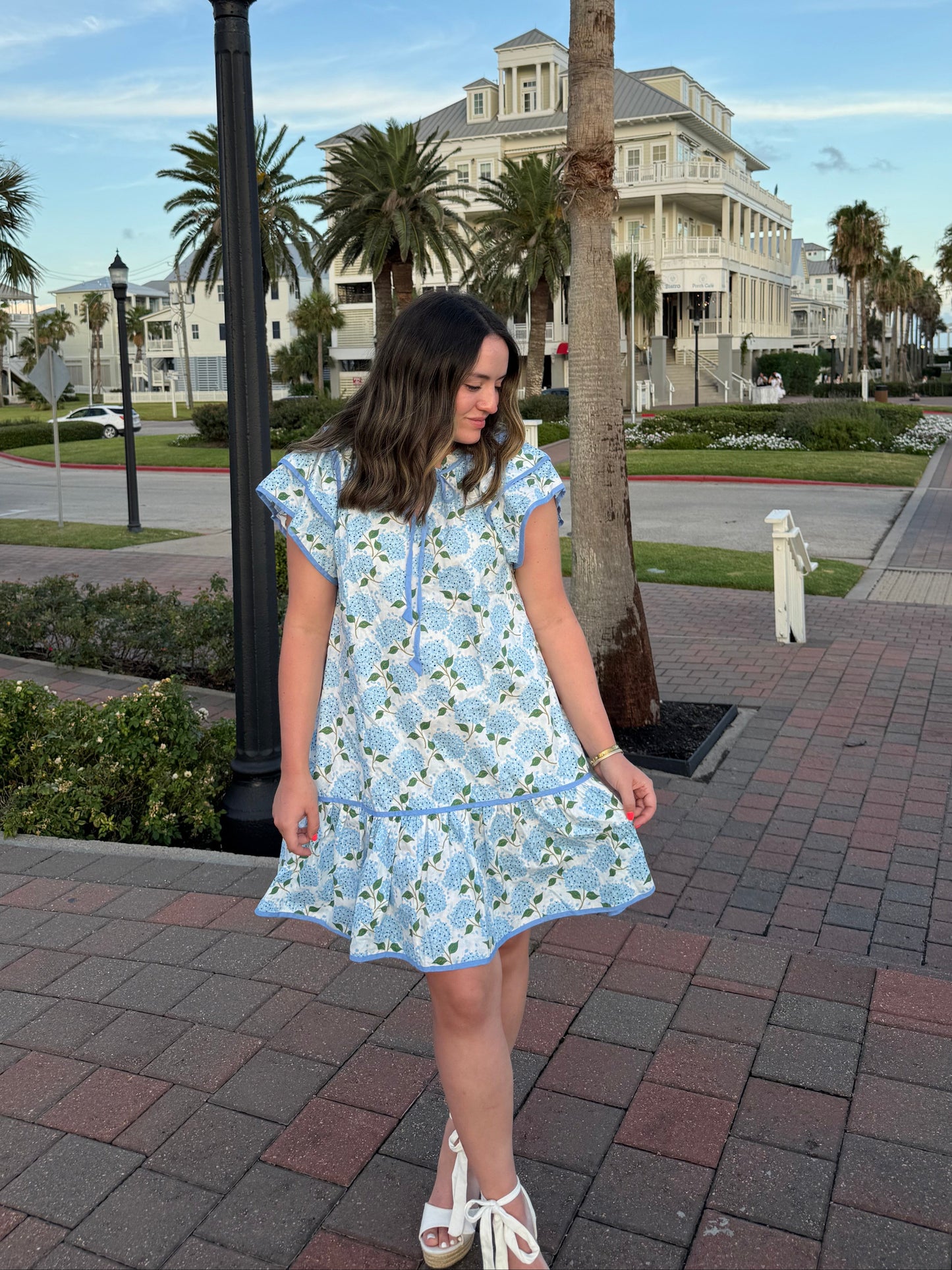 Hydrangea Haze Mini Dress