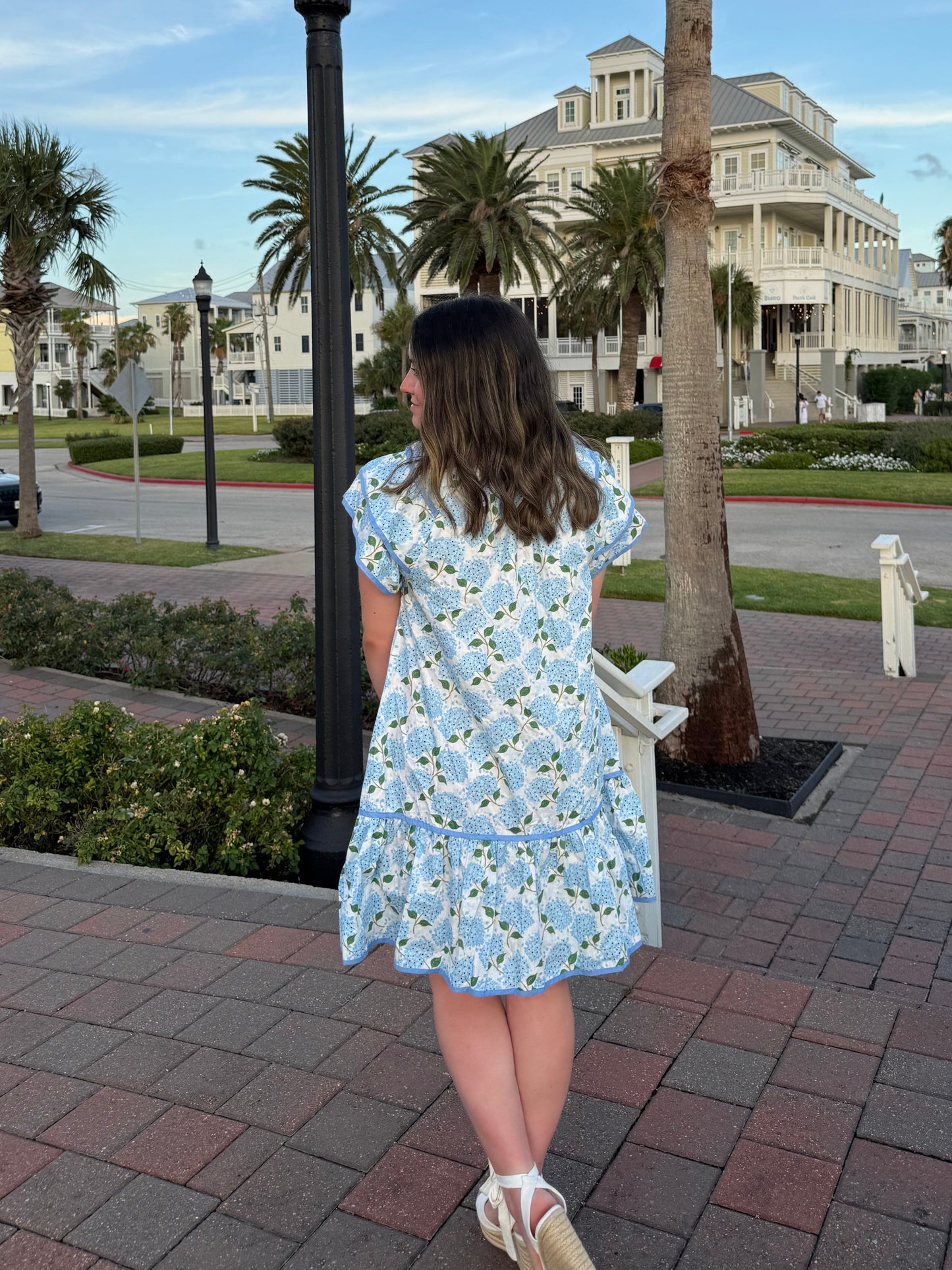 Hydrangea Haze Mini Dress